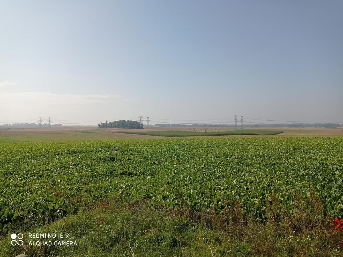 ホテルPulilane Le Torp-Mesnil エクステリア 写真
